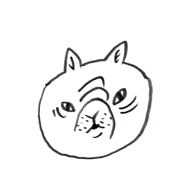 悵肽͂